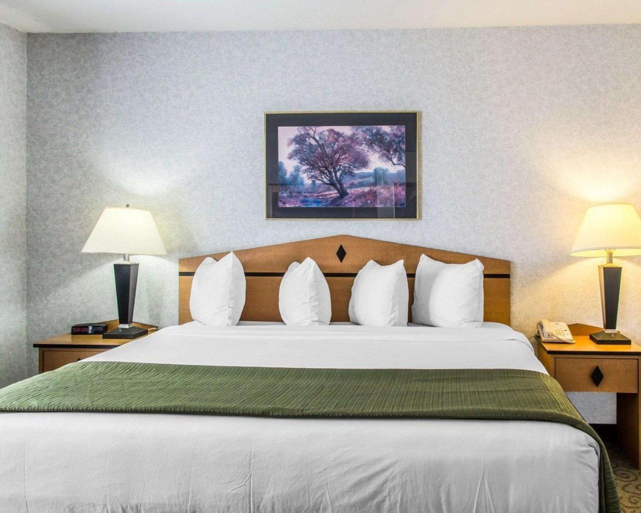 Quality Inn & Suites Denver Airport - Gateway Park Aurora Extérieur photo